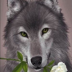 Meet your Posher, Sue